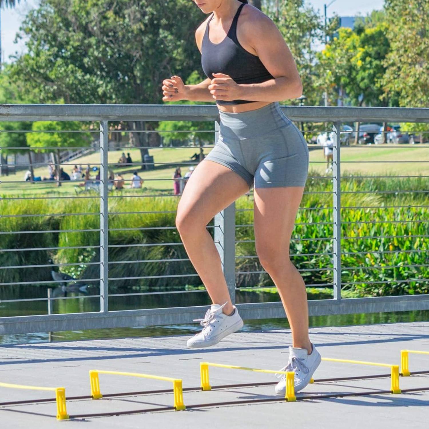 buy portable hurdle ladder